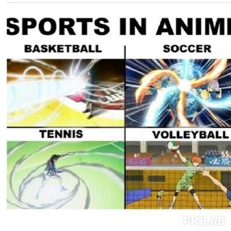 favorita sports